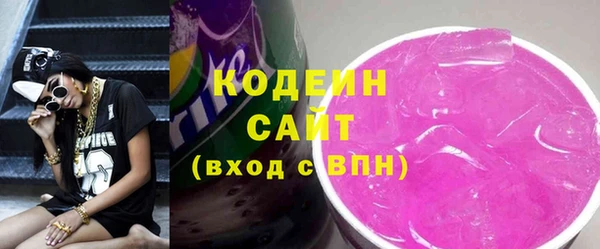 ПСИЛОЦИБИНОВЫЕ ГРИБЫ Гусев