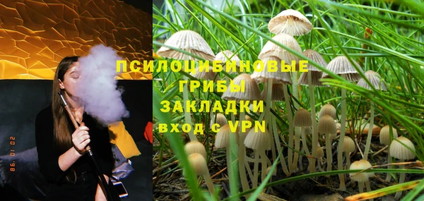 ПСИЛОЦИБИНОВЫЕ ГРИБЫ Гусев