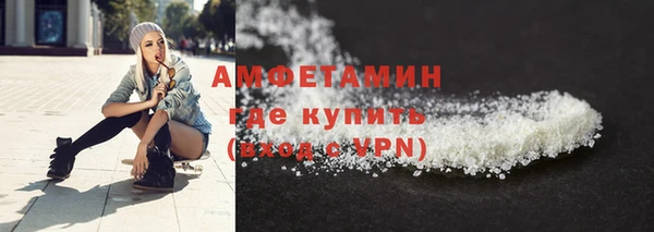 ПСИЛОЦИБИНОВЫЕ ГРИБЫ Гусев
