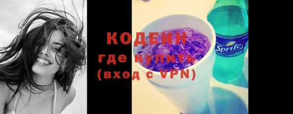 ПСИЛОЦИБИНОВЫЕ ГРИБЫ Гусев