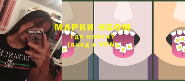 ПСИЛОЦИБИНОВЫЕ ГРИБЫ Гусев