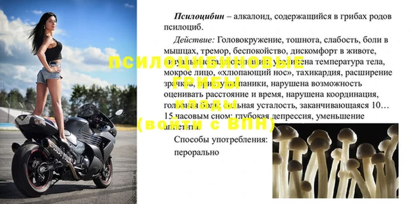 ПСИЛОЦИБИНОВЫЕ ГРИБЫ Гусев