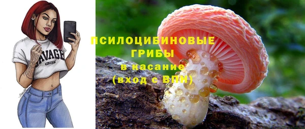 ПСИЛОЦИБИНОВЫЕ ГРИБЫ Гусев