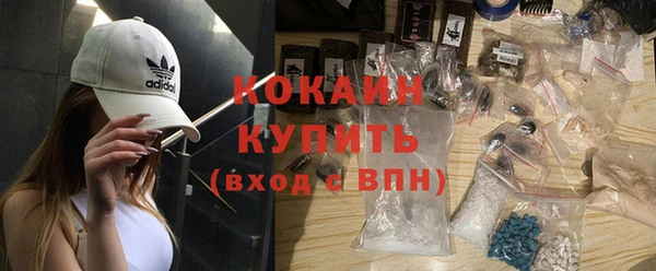 ПСИЛОЦИБИНОВЫЕ ГРИБЫ Гусев