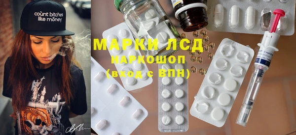 ПСИЛОЦИБИНОВЫЕ ГРИБЫ Гусев