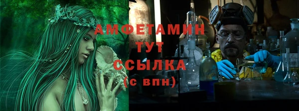 ПСИЛОЦИБИНОВЫЕ ГРИБЫ Гусев