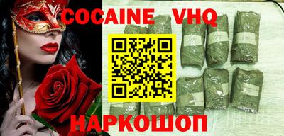 гашик Кингисепп