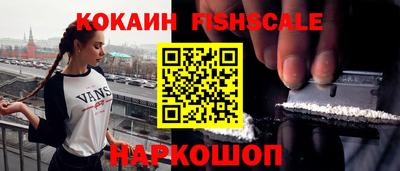 гашик Кингисепп