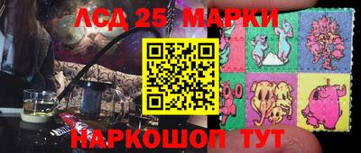гашик Кингисепп