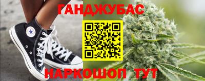 гашик Кингисепп