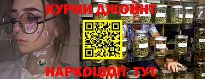 гашик Кингисепп