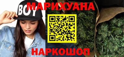 гашик Кингисепп