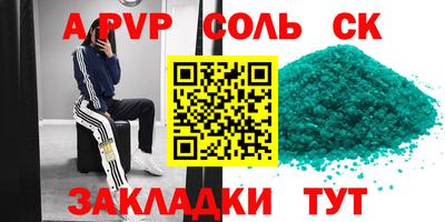 гашик Кингисепп