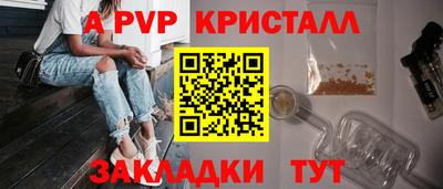 гашик Кингисепп