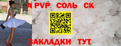 гашик Кингисепп