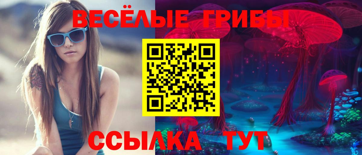 Псилоцибиновые грибы Cubensis Учалы